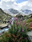 Steingletscher Hubbleni Runde