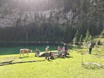 Axalp Hinterburgseeli und mehr