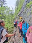 Wanderung auf dem Obersimmentaler Hausweg