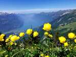 Wilerhorn-Tour