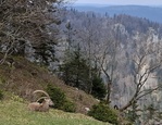 Am Creux du Van